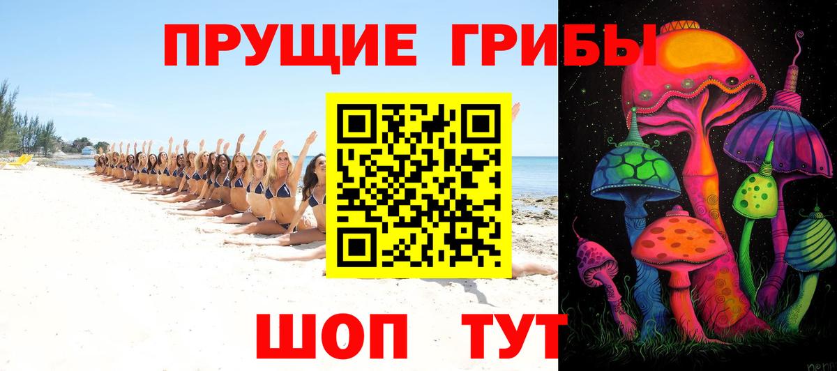 что такое   Вход с VPN  Карачаевск  Псилоцибиновые грибы MAGIC MUSHROOMS 